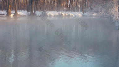 鸟夫妇游泳有雾的冬天湖雾冬天湖早....
